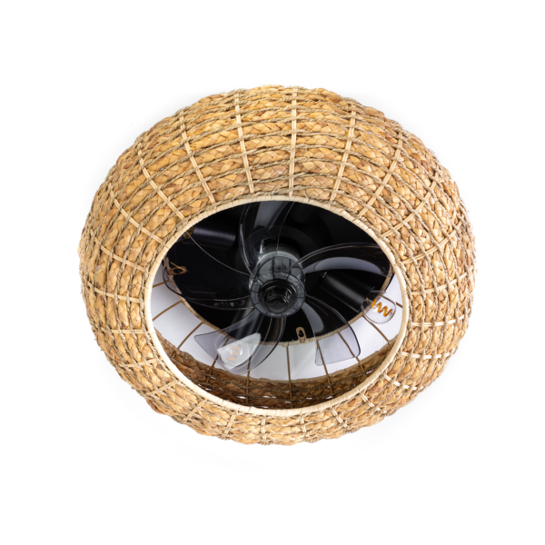 Ventilator The Fan 4-lichts